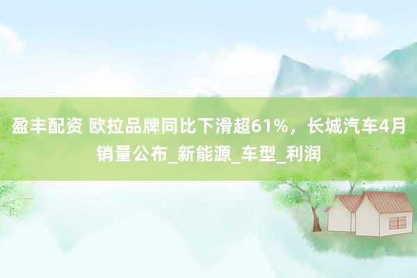 盈丰配资 欧拉品牌同比下滑超61%，长城汽车4月销量公布_新能源_车型_利润