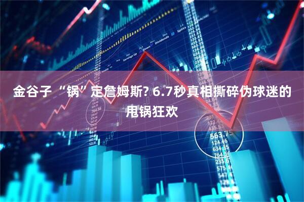 金谷子 “锅”定詹姆斯? 6.7秒真相撕碎伪球迷的甩锅狂欢